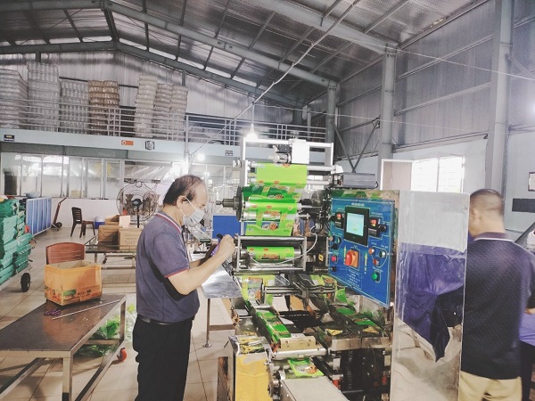 Máy đóng gói Quẩy
