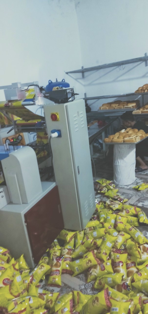 Máy đóng gói bánh mỳ 2